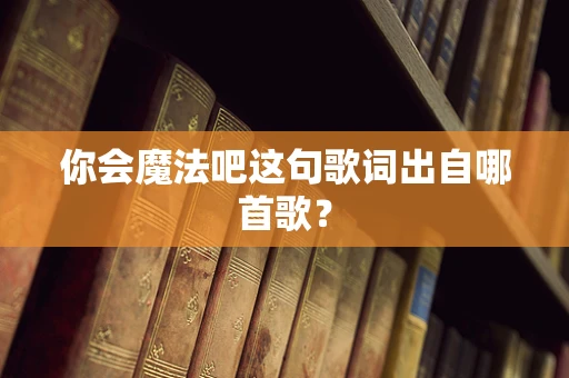 你会魔法吧这句歌词出自哪首歌？