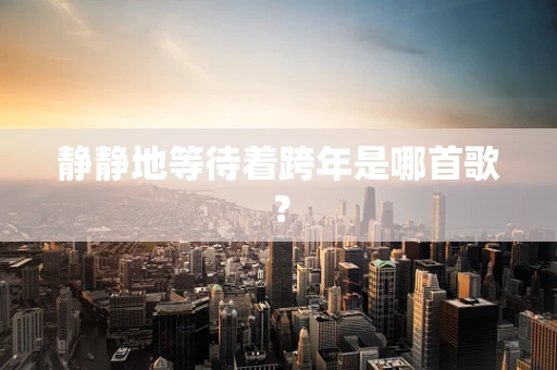 静静地等待着跨年是哪首歌？