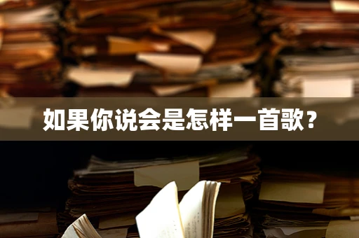 如果你说会是怎样一首歌？