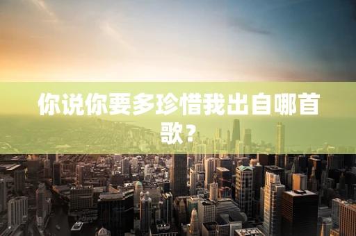 你说你要多珍惜我出自哪首歌？
