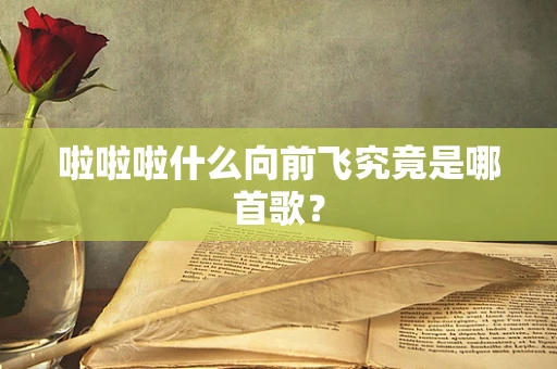 啦啦啦什么向前飞究竟是哪首歌？