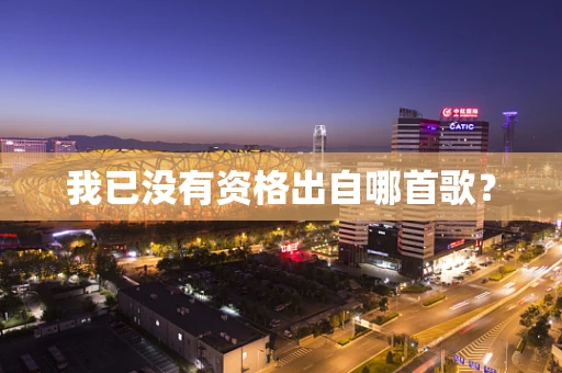 我已没有资格出自哪首歌？
