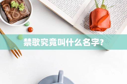 禁歌究竟叫什么名字？