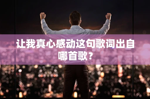 让我真心感动这句歌词出自哪首歌？
