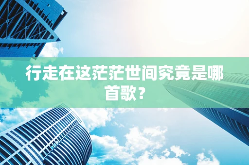 行走在这茫茫世间究竟是哪首歌？