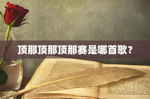 顶那顶那顶那赛是哪首歌？