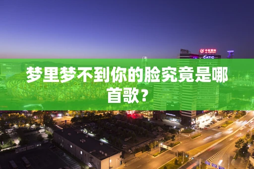 梦里梦不到你的脸究竟是哪首歌？