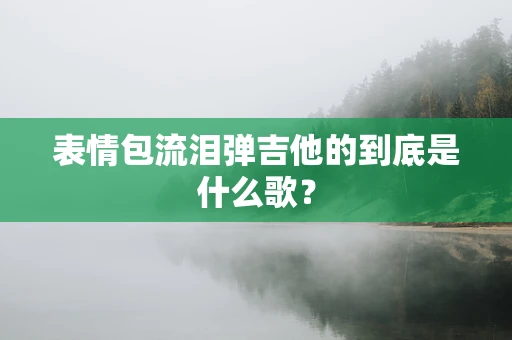 表情包流泪弹吉他的到底是什么歌？