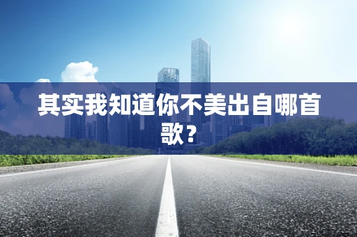 其实我知道你不美出自哪首歌？