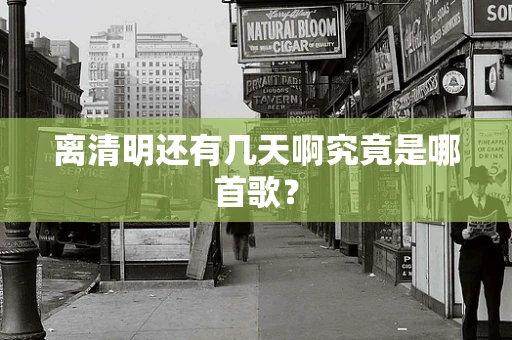 离清明还有几天啊究竟是哪首歌？