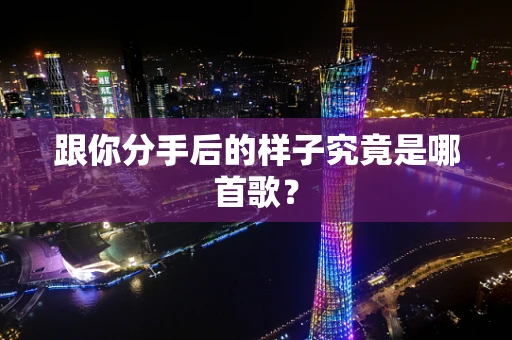 跟你分手后的样子究竟是哪首歌？
