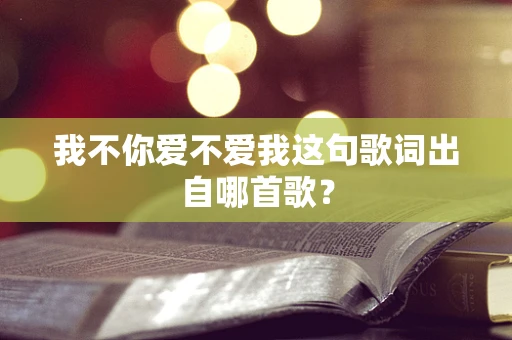 我不你爱不爱我这句歌词出自哪首歌？