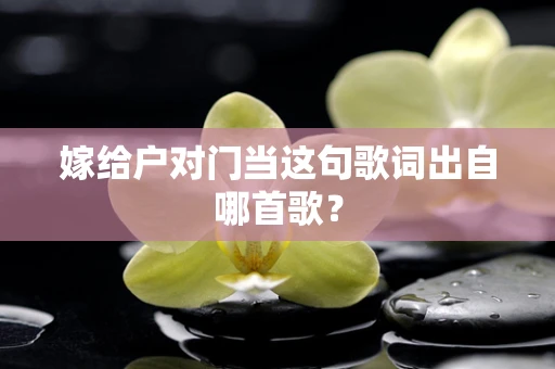 嫁给户对门当这句歌词出自哪首歌？