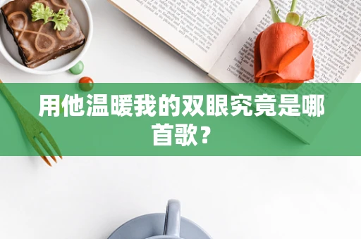 用他温暖我的双眼究竟是哪首歌？