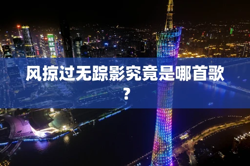 风掠过无踪影究竟是哪首歌？