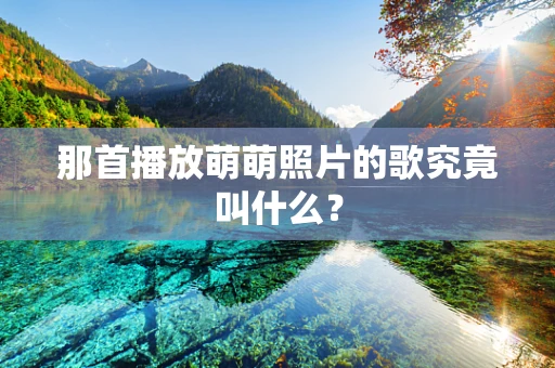 那首播放萌萌照片的歌究竟叫什么？