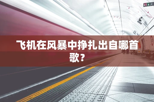 飞机在风暴中挣扎出自哪首歌？