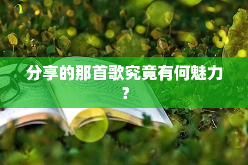 分享的那首歌究竟有何魅力？