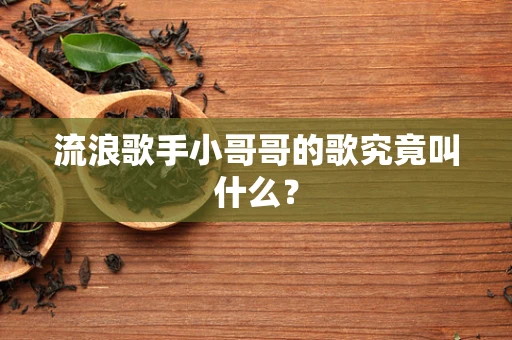 流浪歌手小哥哥的歌究竟叫什么？