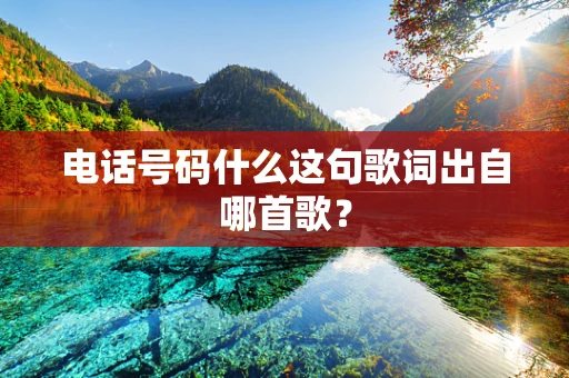 电话号码什么这句歌词出自哪首歌？