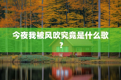 今夜我被风吹究竟是什么歌？