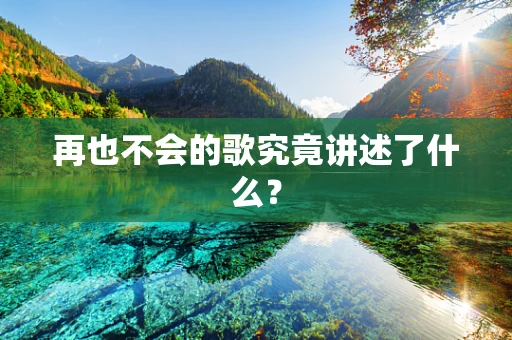 再也不会的歌究竟讲述了什么？
