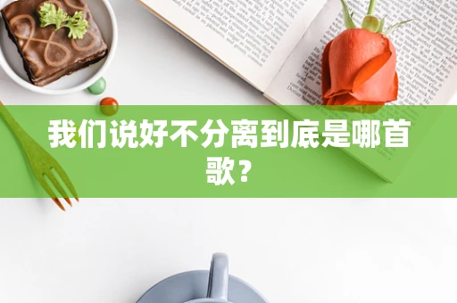 我们说好不分离到底是哪首歌？