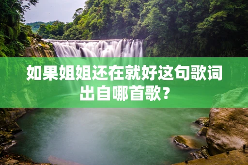 如果姐姐还在就好这句歌词出自哪首歌？
