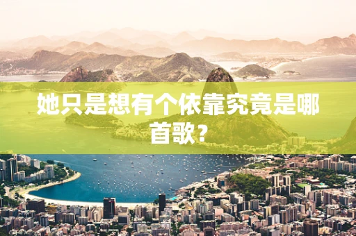 她只是想有个依靠究竟是哪首歌？