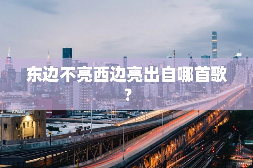 东边不亮西边亮出自哪首歌？