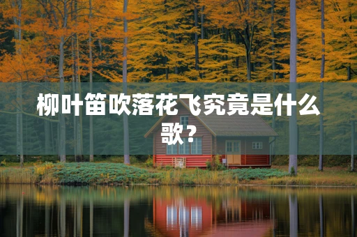 柳叶笛吹落花飞究竟是什么歌？