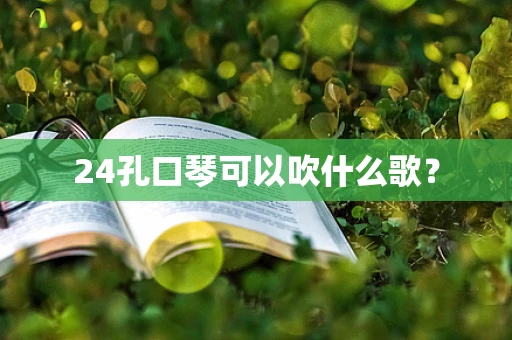 24孔口琴可以吹什么歌？