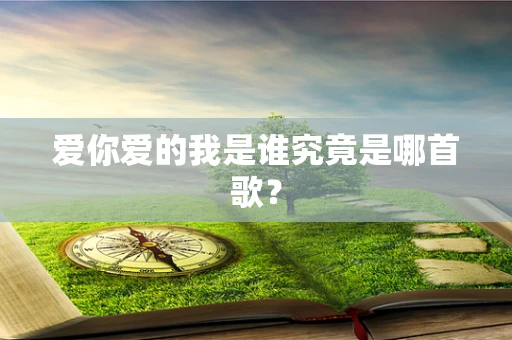 爱你爱的我是谁究竟是哪首歌？