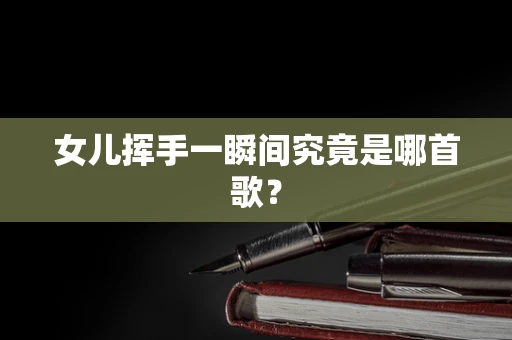 女儿挥手一瞬间究竟是哪首歌？