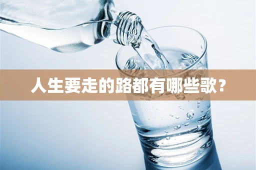 人生要走的路都有哪些歌？