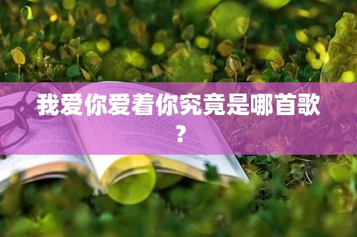 我爱你爱着你究竟是哪首歌？