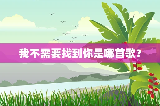 我不需要找到你是哪首歌？