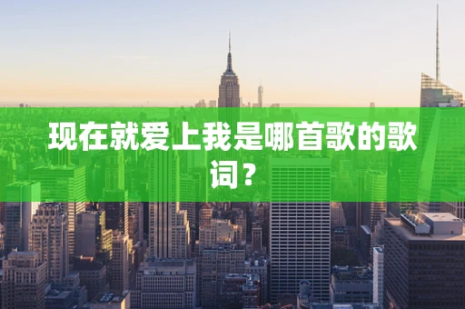 现在就爱上我是哪首歌的歌词？