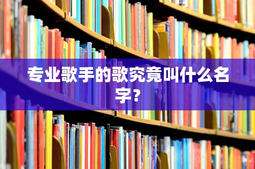 专业歌手的歌究竟叫什么名字？