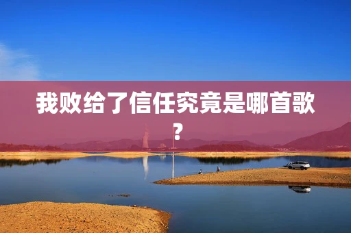 我败给了信任究竟是哪首歌？