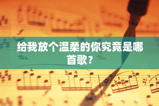 给我放个温柔的你究竟是哪首歌？