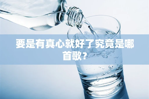 要是有真心就好了究竟是哪首歌？