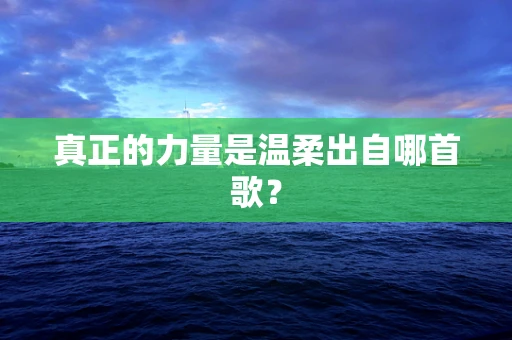 真正的力量是温柔出自哪首歌？