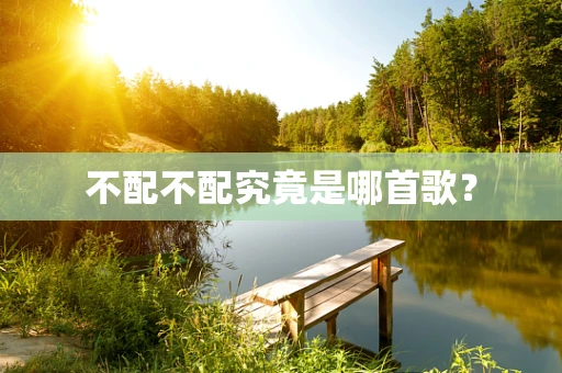 不配不配究竟是哪首歌？