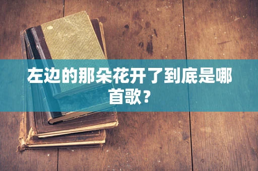 左边的那朵花开了到底是哪首歌？