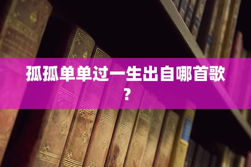 孤孤单单过一生出自哪首歌？