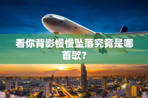 看你背影慢慢坠落究竟是哪首歌？