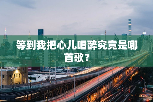 等到我把心儿唱醉究竟是哪首歌？