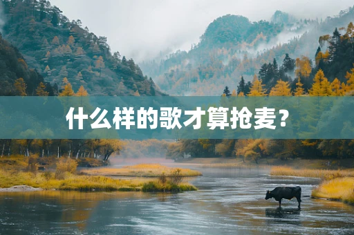 什么样的歌才算抢麦？