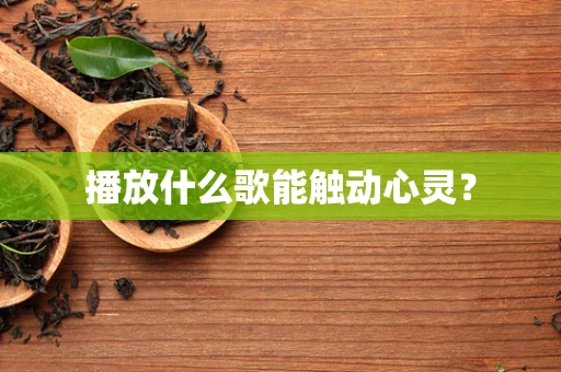 播放什么歌能触动心灵？